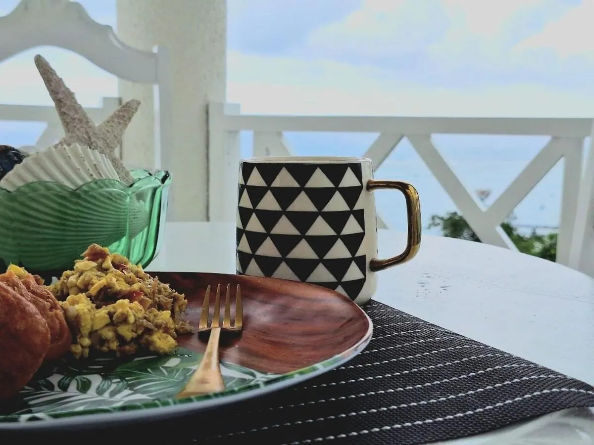 Oceanview! Walk To Town And Beach-Payment Required To Reserve 오쵸 리오스 자메이카